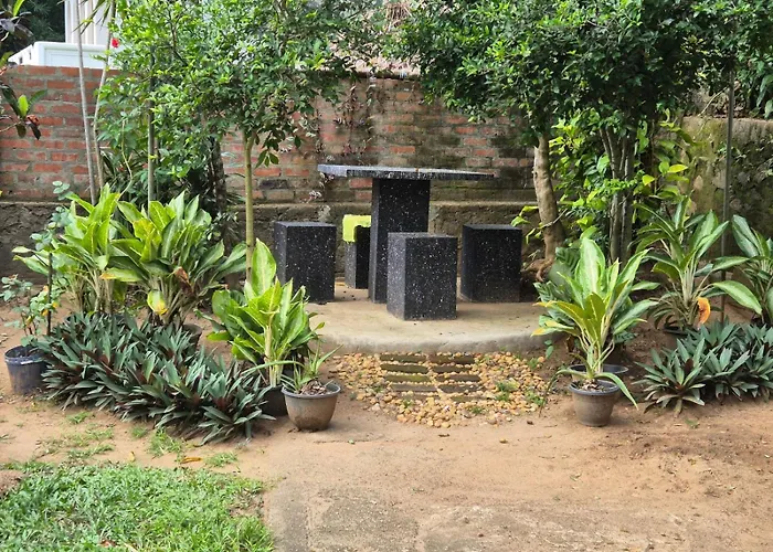 Lazy Bear Best Hostel In Kandy