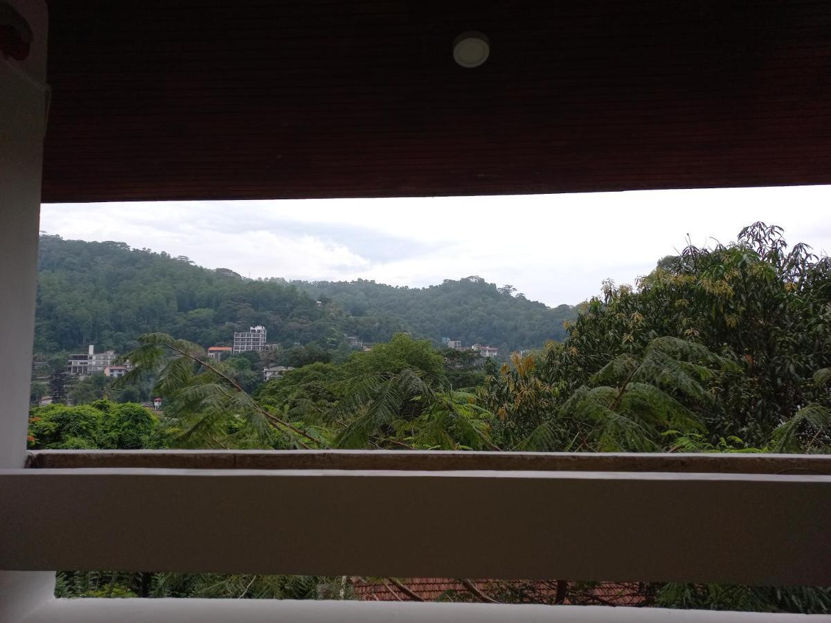 Hostal Lazy Bear In *