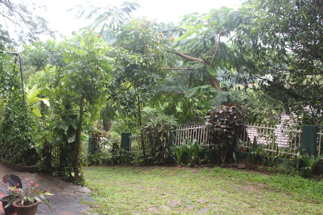 Hostal Lazy Bear In *