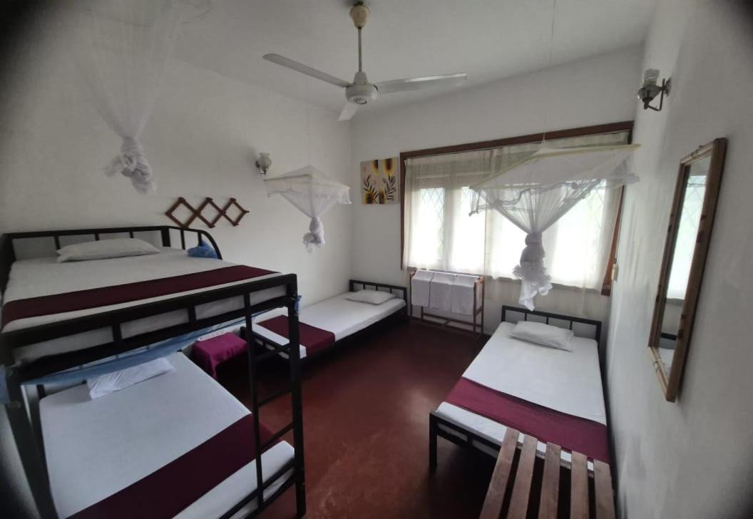 Lazy Bear In Hostal *