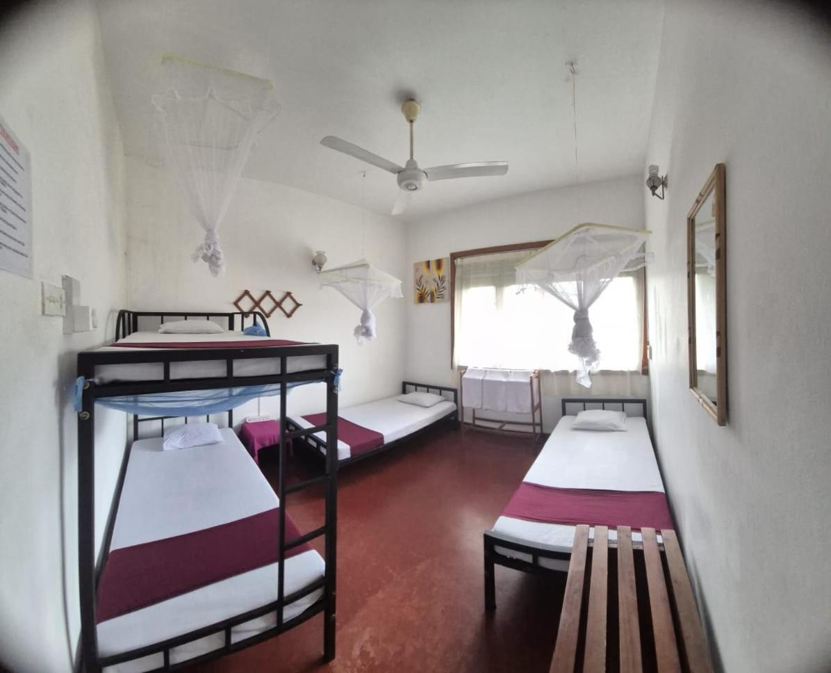 Hostal Lazy Bear In *