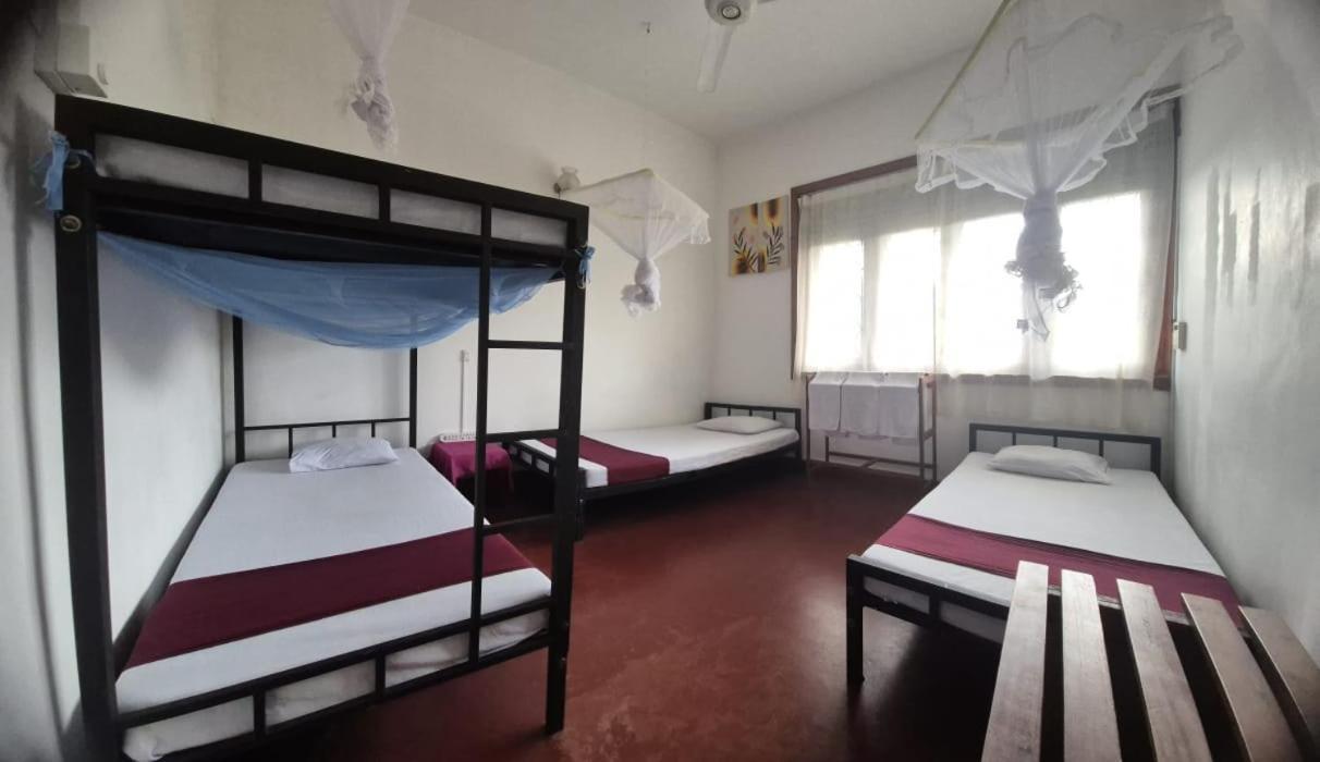 Lazy Bear In Hostal