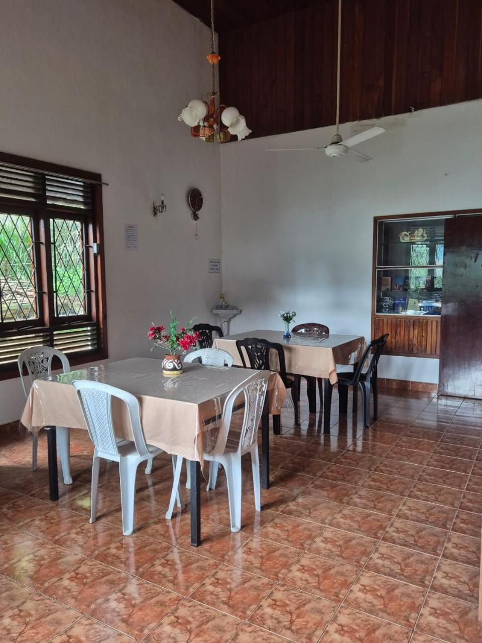 Lazy Bear In Hostal Kandy