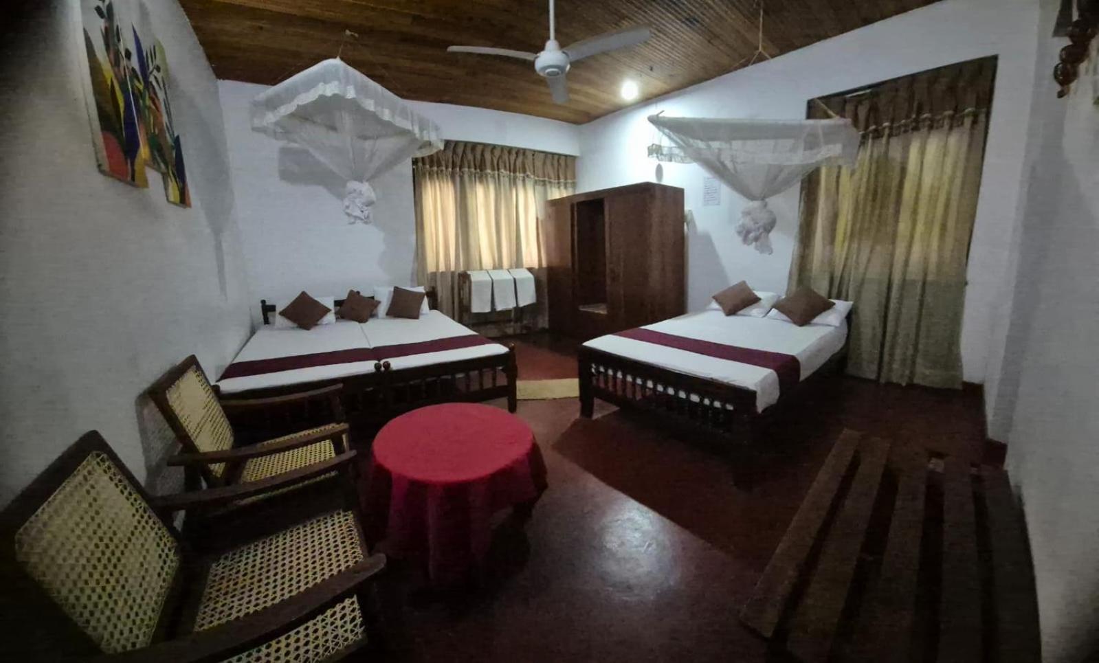 Lazy Bear In Hostal