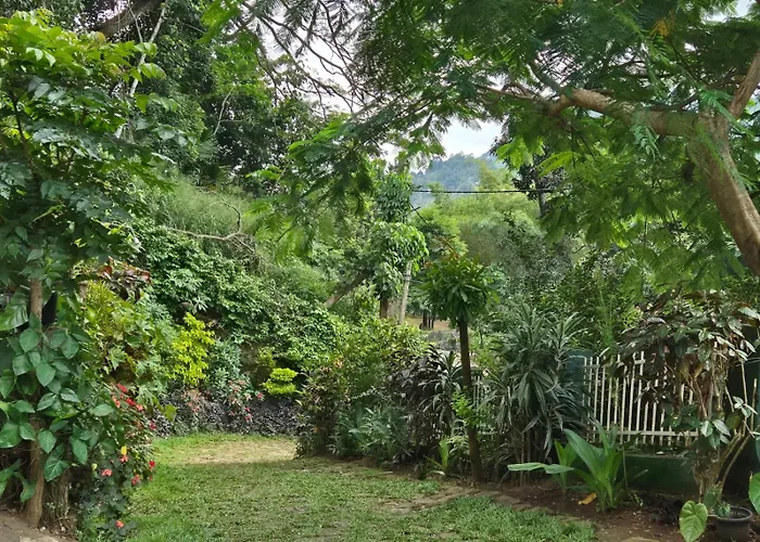 Lazy Bear Hostel