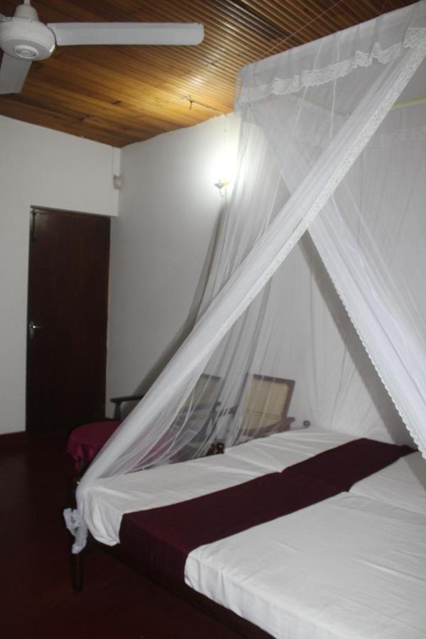 Lazy Bear Hostel