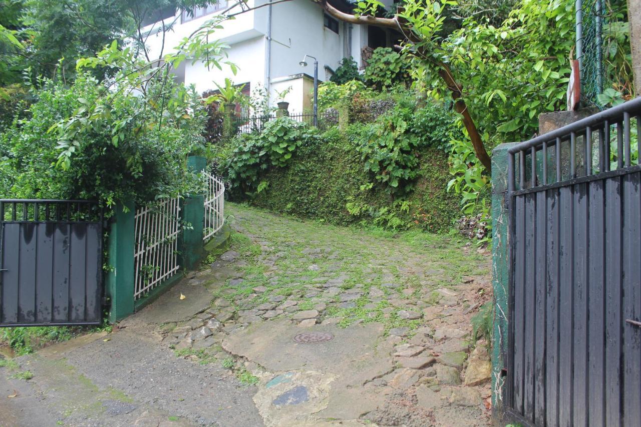 Lazy Bear Hostel *