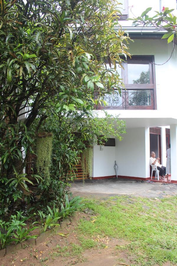 Lazy Bear Hostel Kandy