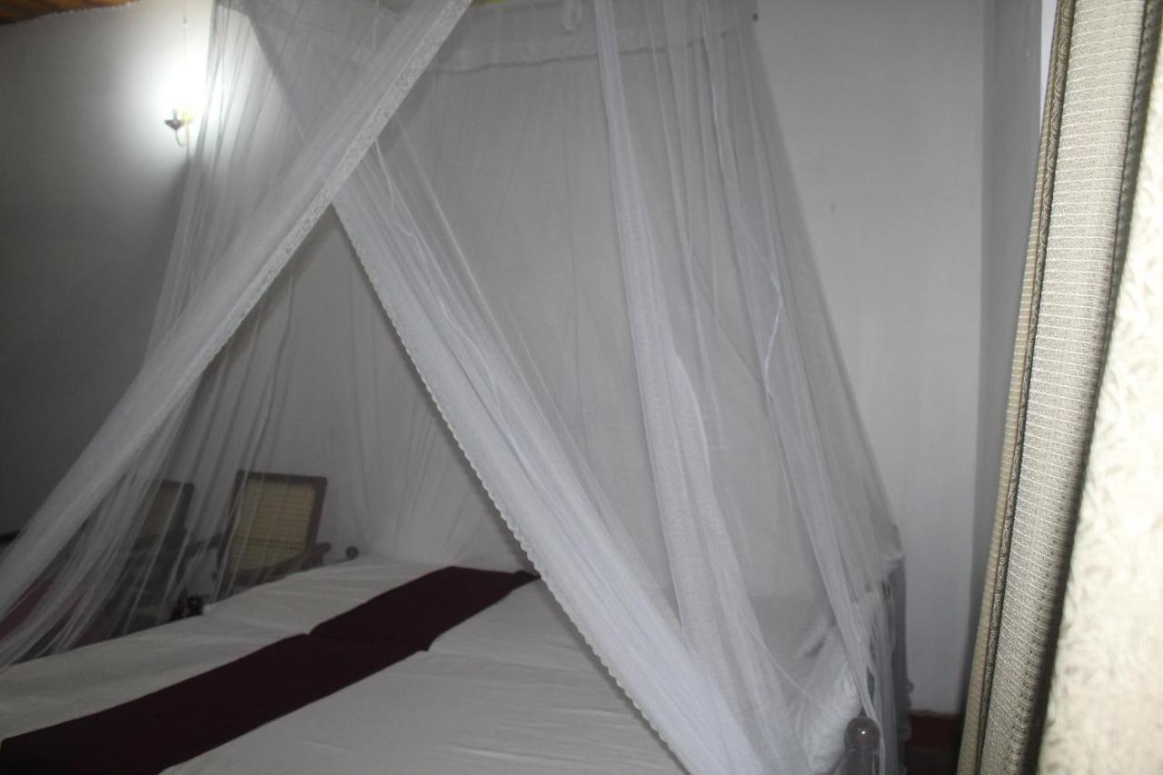 Hostel Lazy Bear