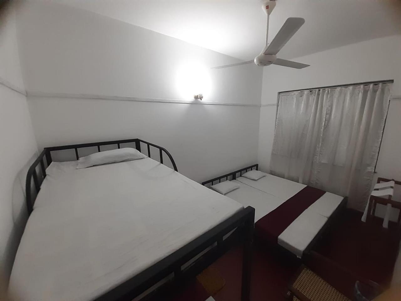 Lazy Bear Hostel