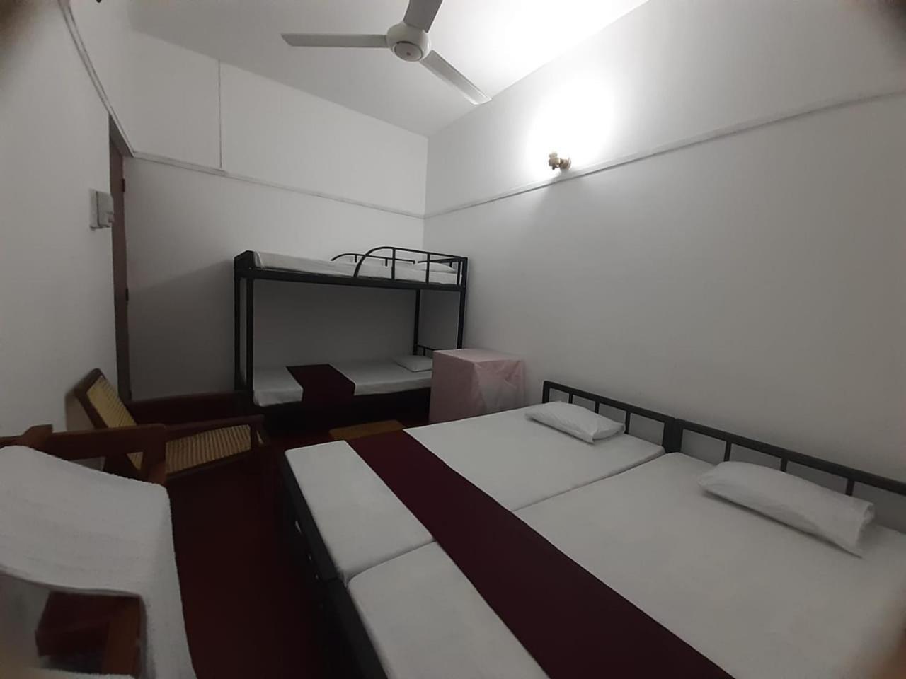 Lazy Bear Hostel