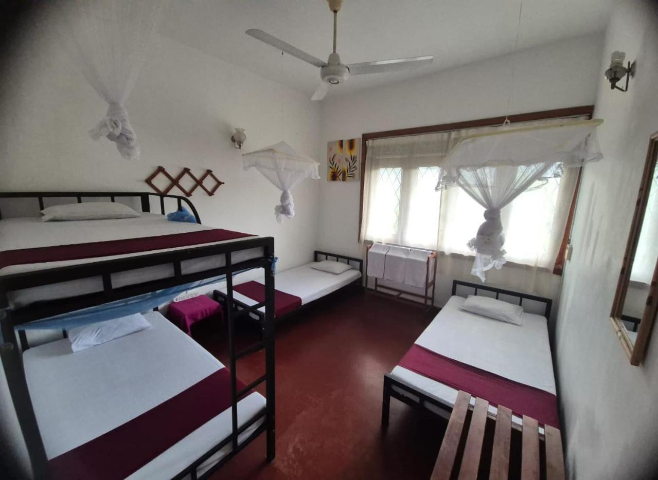 Hostel Lazy Bear